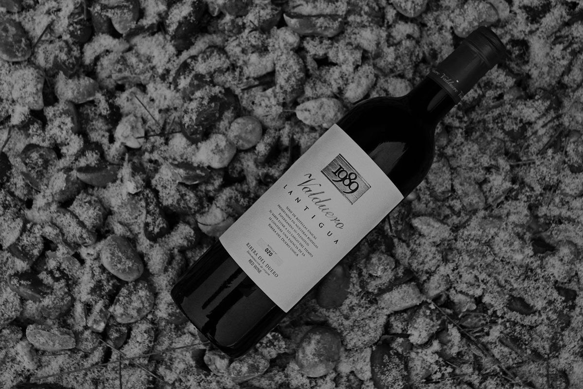 Вино Темпранильо из Испании в целом и Риоха в частности 006_vino-tempranilio-iz-ispanii-i-rioha